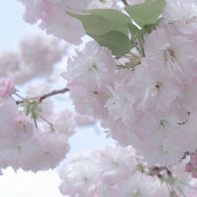 Furry数位板绘画入门技巧兽圈社群